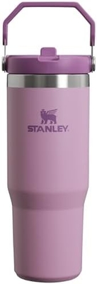 IceFlow Tumbler stainless steel dengan jerami, botol air terisolasi vakum untuk rumah, kantor atau mobil, cangkir yang dapat digunakan kembali
