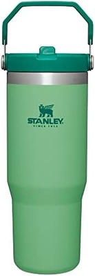 IceFlow Tumbler stainless steel dengan jerami, botol air terisolasi vakum untuk rumah, kantor atau mobil, cangkir yang dapat digunakan kembali