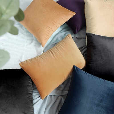 NTBAY 2 Pack Zippered Velvet King Pillowcases, Super Soft and Cozy Luxury Fuzzy Flannel Pillowcases dengan Zipper, 20x36