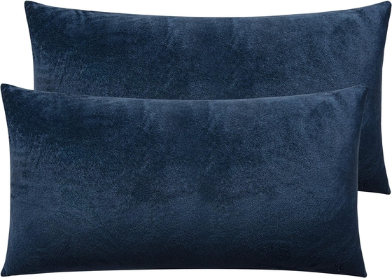 NTBAY 2 Pack Zippered Velvet King Pillowcases, Super Soft and Cozy Luxury Fuzzy Flannel Pillowcases dengan Zipper, 20x36