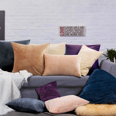 NTBAY 2 Pack Zippered Velvet King Pillowcases, Super Soft and Cozy Luxury Fuzzy Flannel Pillowcases dengan Zipper, 20x36