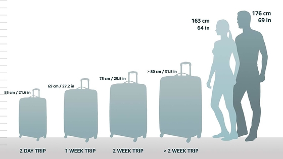 Hardside Expandable dengan Double Spinner Wheels, Carry-On 21 Inch, Putih